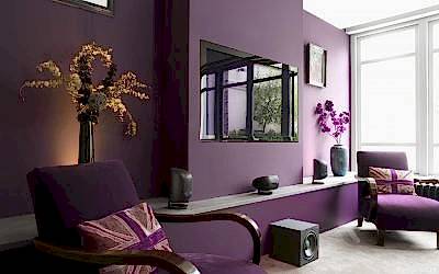 Couleur violette à l'intérieur et ses combinaisons