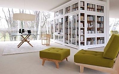 Bibliothèques à l'intérieur + 50 exemples de photos