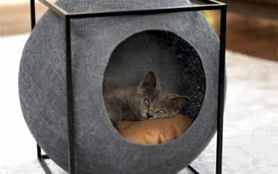 Maison de chat bricolage