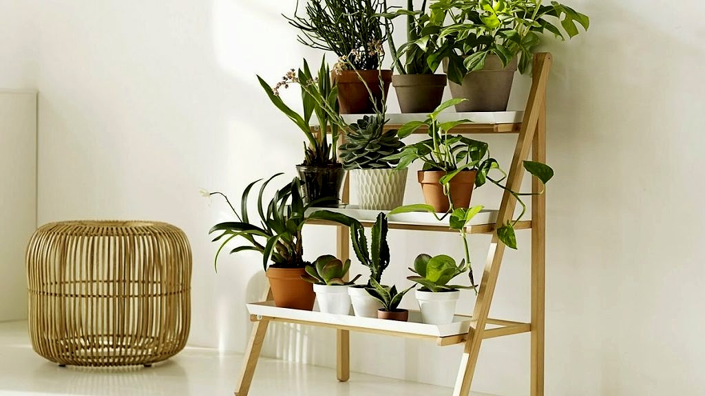 Étagères pour fleurs