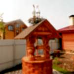 Cigognes sur le toit