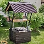 Conifères dans le pays