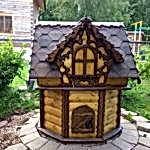 Arbustes dans le pays