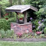 Pots de fleurs sous le toit