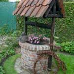 Plante grimpante sur la clôture