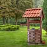 Table et bancs sous les arbres