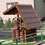 Arbres sous la fenêtre