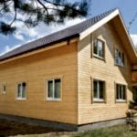 Conifères dans le pays