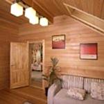 Un pot de fleurs sur le canapé