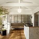 Arbre intérieur près de la fenêtre